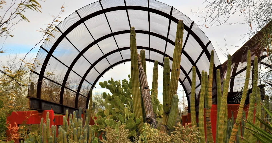 10 Best Places to Visit in Phoenix, AZ